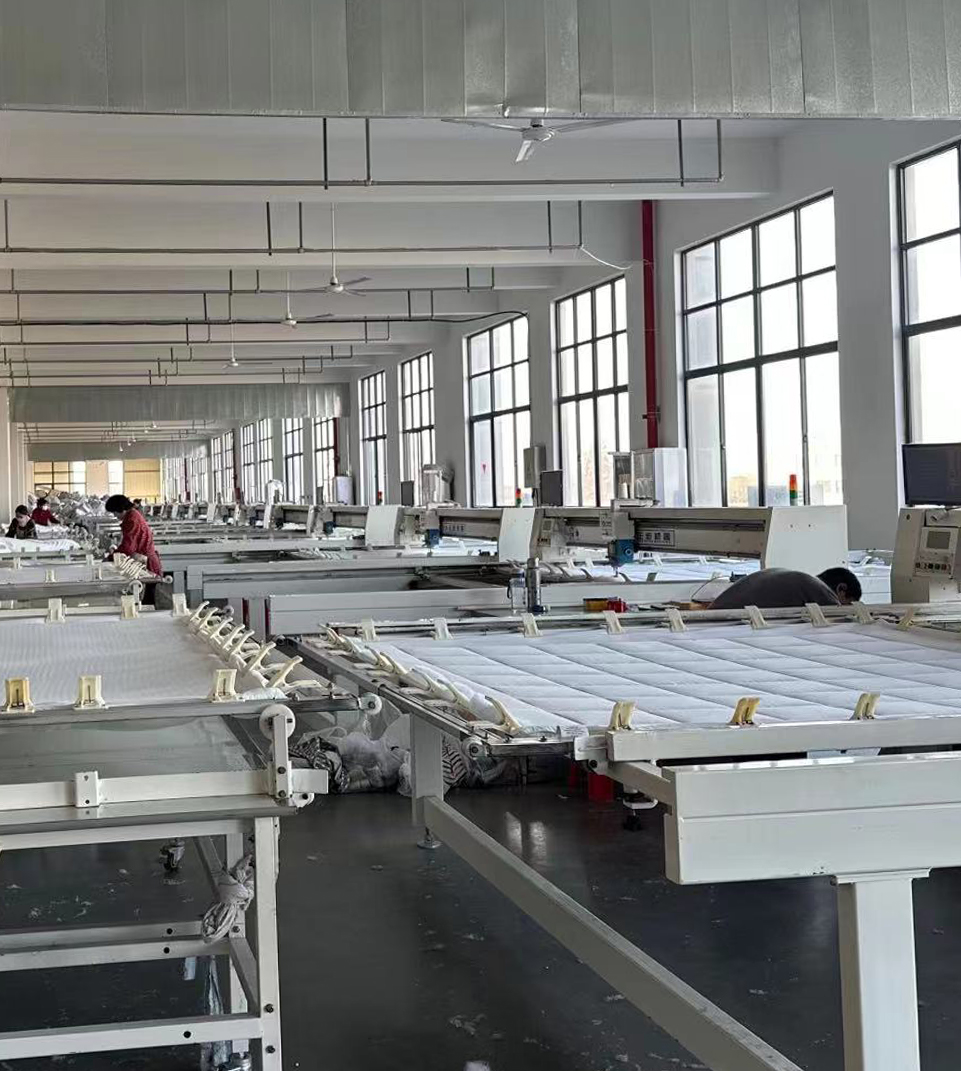 Jiangsu Mengjini Technology Group Co., Ltd.